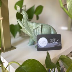 Float Nashville - Give the gift of floating!