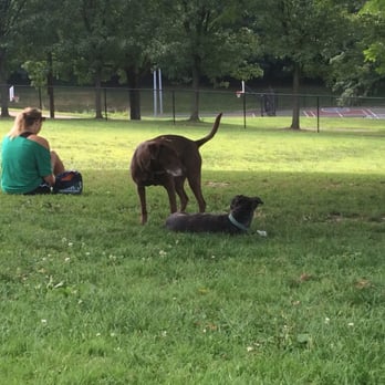 Olympia Park - Mocha is finding so many new friends! - Dog Parks Near Me - Pittsburgh, Pennsylvania