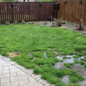 US Turf - My Green Thumb attempt... - Artificial Turf Near Me - San Diego, California US Turf - My Green Thumb attempt... - Artificial Turf Near Me - San Diego, California