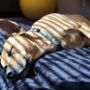 Photo of GoGo K9: Mobile Massage & Bodywork