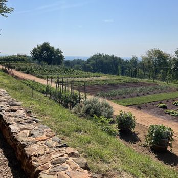 Thomas Jefferson's Monticello - Landmarks & Historical Buildings Near Me - Charlottesville, Virginia