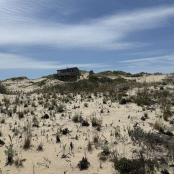 Art's Dune Tours - Tours Near Me - Provincetown, Massachusetts