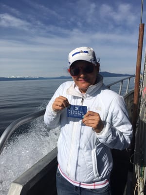 Kodiak Island Adventures by null