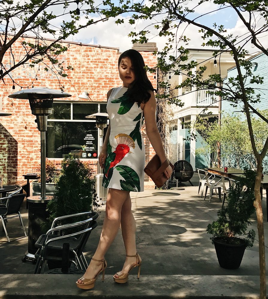 ELOISE Updated September 2024 505 W Main St, Charlottesville