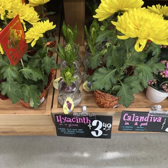 Trader Joe's - So cute - Grocery Near Me - Santa Clarita, California Trader Joe's - So cute - Grocery Near Me - Santa Clarita, California