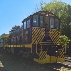 New York & Lake Erie RR - Another view of our train