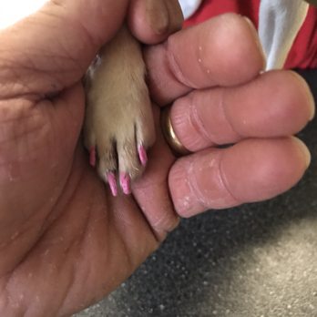 PetSmart - Pet Stores Near Me - Manteca, California
