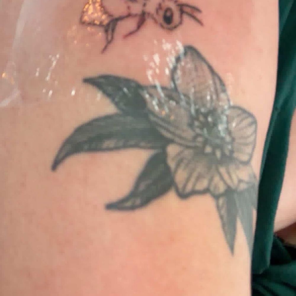Wildside Tattoo - My bee tattoo from their budget book! - Tattoo Near Me - Myrtle Beach, South Carolina Wildside Tattoo - My bee tattoo from their budget book! - Tattoo Near Me - Myrtle Beach, South Carolina