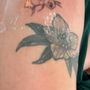 Photo of Wildside Tattoo
