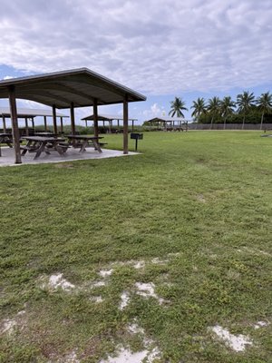 Curry Hammock State Park by null