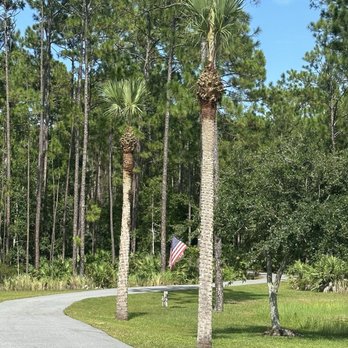 SB Tree Service - After - Tree Services Near Me - Holly Hill, Florida SB Tree Service - After - Tree Services Near Me - Holly Hill, Florida