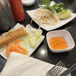 Crispy Spring Rolls / Cha Gio
