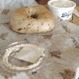Blueberry Bagel