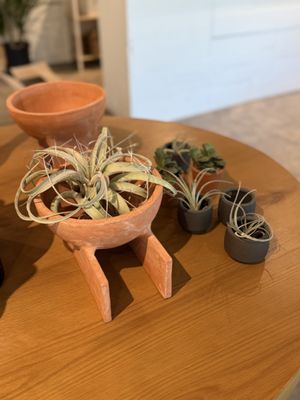 Flourish Plant Shop & Wine Bar by null