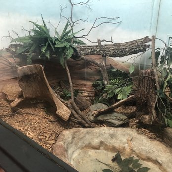 Greenville Zoo - Zoos Near Me - Greenville, South Carolina