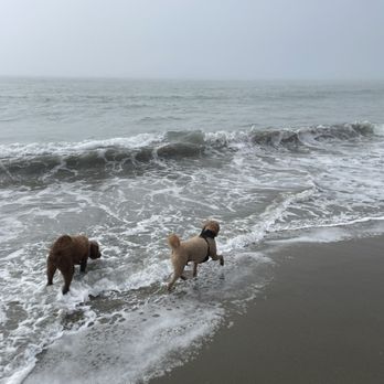 Dillon Beach - Beaches Near Me - Dillon Beach, California Dillon Beach - Beaches Near Me - Dillon Beach, California