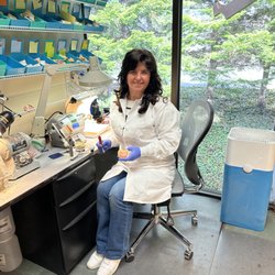 Grishin Denture Specialist - Lab working hard. In this picture is one of our lovely lab workers Irina