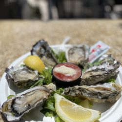 Sea Fresh Channel Islands - Chilled Oysters