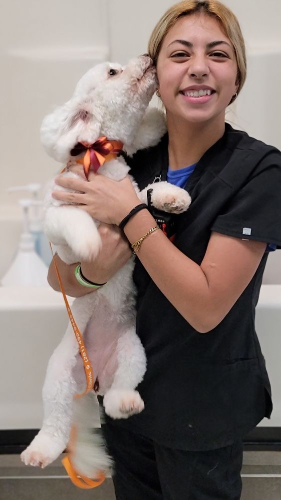 ABC ANIMAL & BIRD CLINIC Updated October 2024 41 Photos & 58