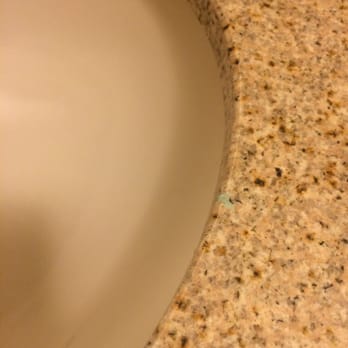 Holiday Inn Express Chester - Toothpaste still on sink from previous boarder.  Place wasn't very clean. - Venues & Event Spaces Near Me - Chester, Virginia