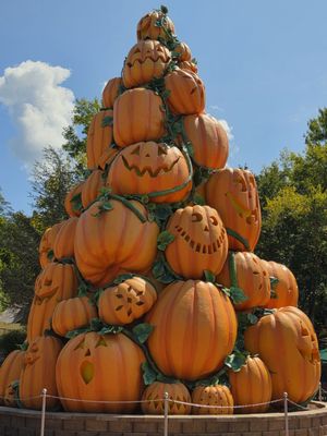 Dollywood's Splash Country by null