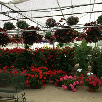 Neitzerts Greenhouse - Florists Near Me - Coldwater, Michigan Neitzerts Greenhouse - Florists Near Me - Coldwater, Michigan