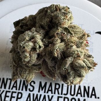The Flowery - Skywalker OG from 710 Labs - Cannabis Clinics Near Me - Hollywood, Florida The Flowery - Skywalker OG from 710 Labs - Cannabis Clinics Near Me - Hollywood, Florida