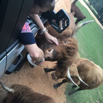 Alabama Safari Park - Zoos Near Me - Hope Hull, Alabama