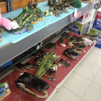 Miccosukee Service Plaza - Gator heads - Gas Stations Near Me - Davie, Florida