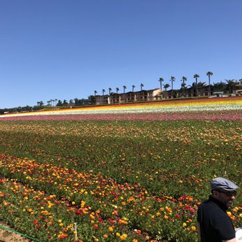 The Flower Fields - Venues & Event Spaces Near Me - Carlsbad, California