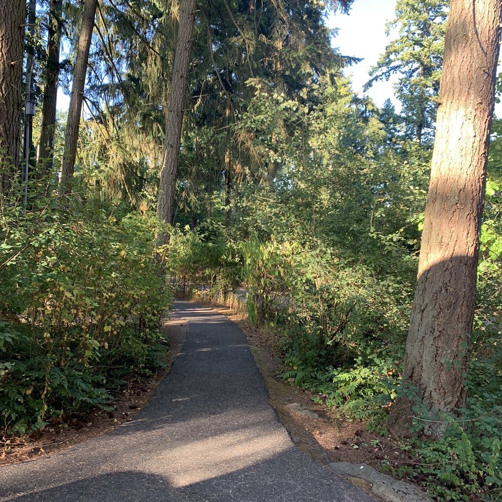 Windtree Park - Parks Near Me - Newcastle, Washington Windtree Park - Parks Near Me - Newcastle, Washington