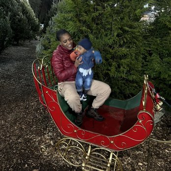 Payne Christmas Trees - Christmas Trees Near Me - Elkridge, Maryland Payne Christmas Trees - Christmas Trees Near Me - Elkridge, Maryland