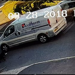 Cool Therm - Van hitting dog
