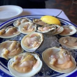 Babylon Fish & Clam - Topnecks on the half shell 3-16-2024