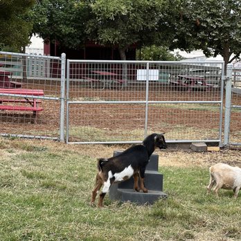 Loma Vista Farm - Attraction Farms Near Me - Vallejo, California