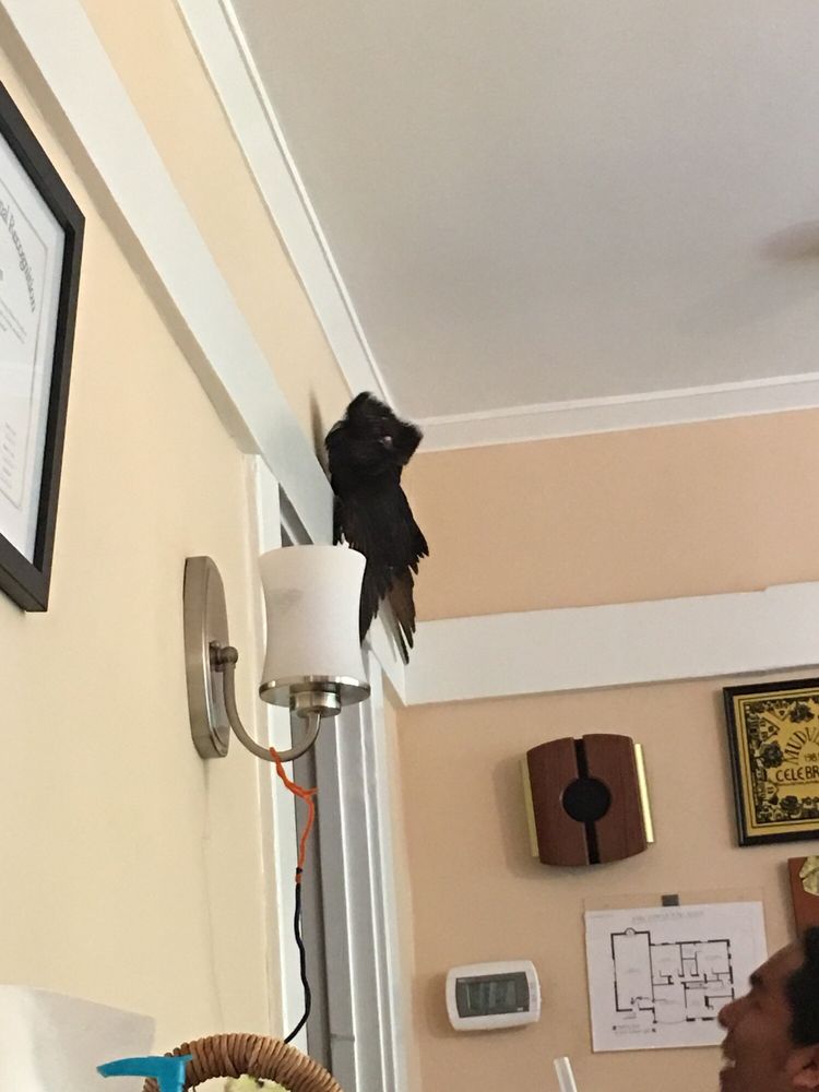 Karis Family Daycare - childcare center in Glendale, CA