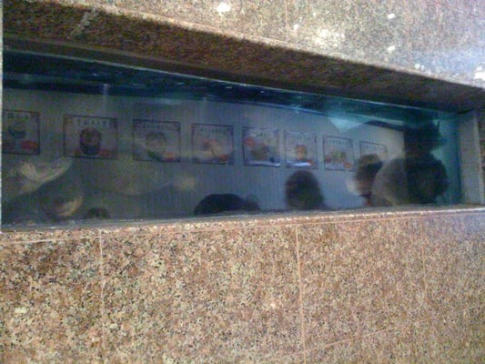 Seafood Palace by null