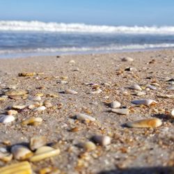 South Ponte Vedra Beach