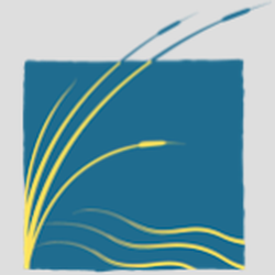 Holistic Health Acupuncture