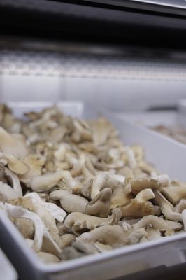 Shabu House 샤부하우스 l Hotpot l Shabu l AYCE by null