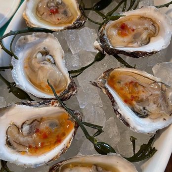 Contessa - Boston - Oysters.......our table ate 5 orders! - Italian Near Me - Boston, Massachusetts