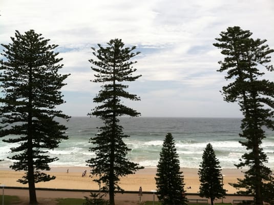 Manly Paradise Motel & Apartments by null