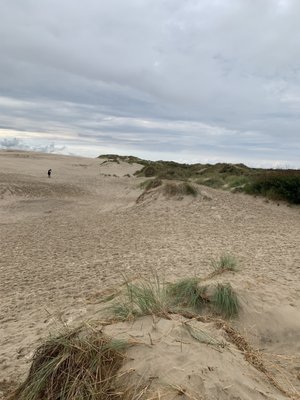 Råbjerg Mile by null