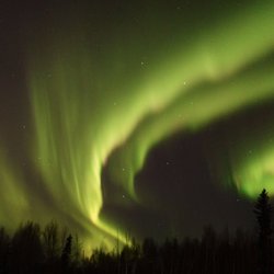Alaska Journey Tours - Aurora