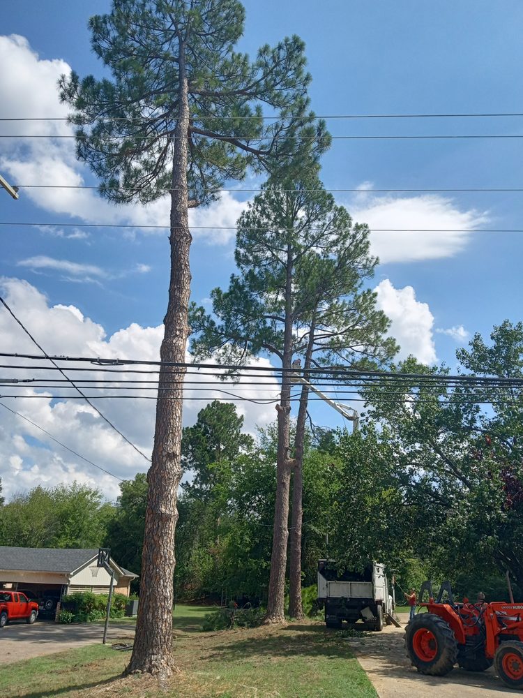 Slide of Post Roofing & Tree Services