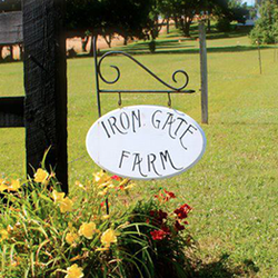 Faith's Corner By Cassie