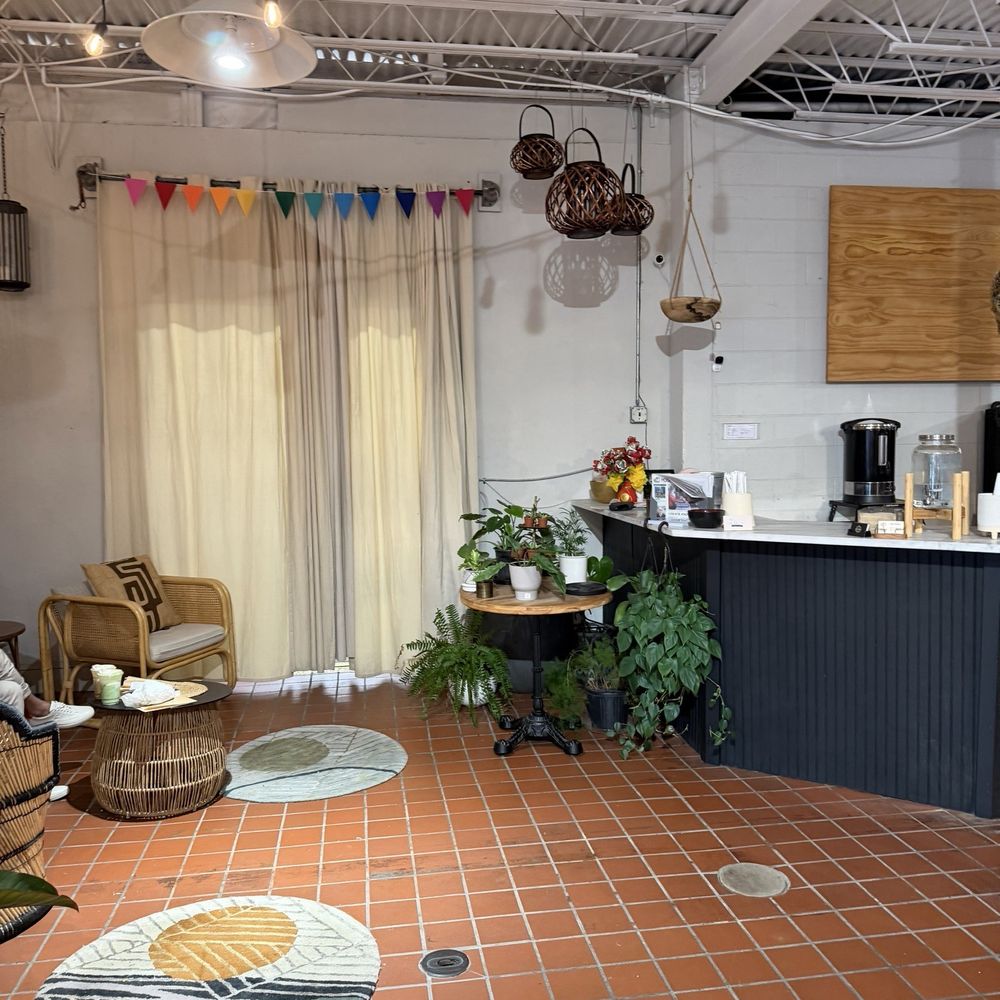 Black Phin - Coffee & Tea Near Me - Winter Park, Florida Black Phin - Coffee & Tea Near Me - Winter Park, Florida