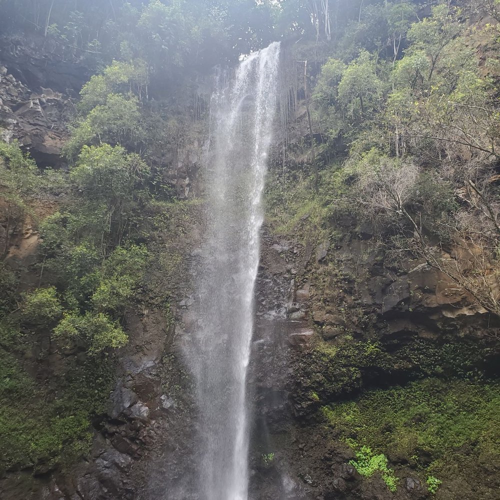 Kayak Wailua Tours - Tours Near Me - Kapaa, Hawaii