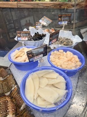 Fresh Florida Fisheries by null