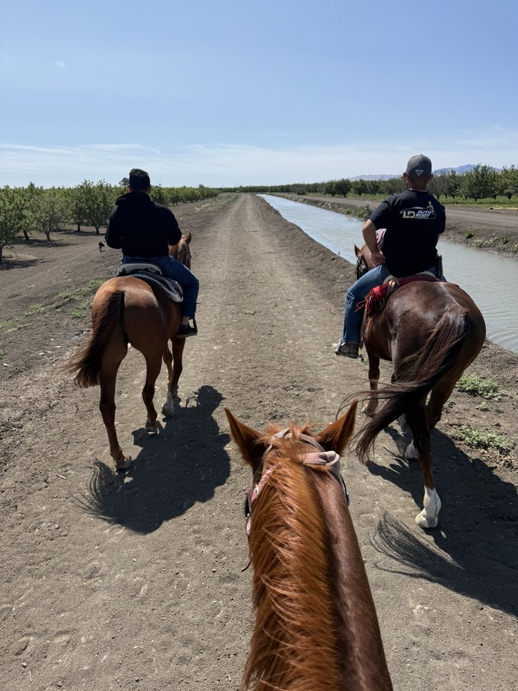 Cowboy Trail Rides Logo